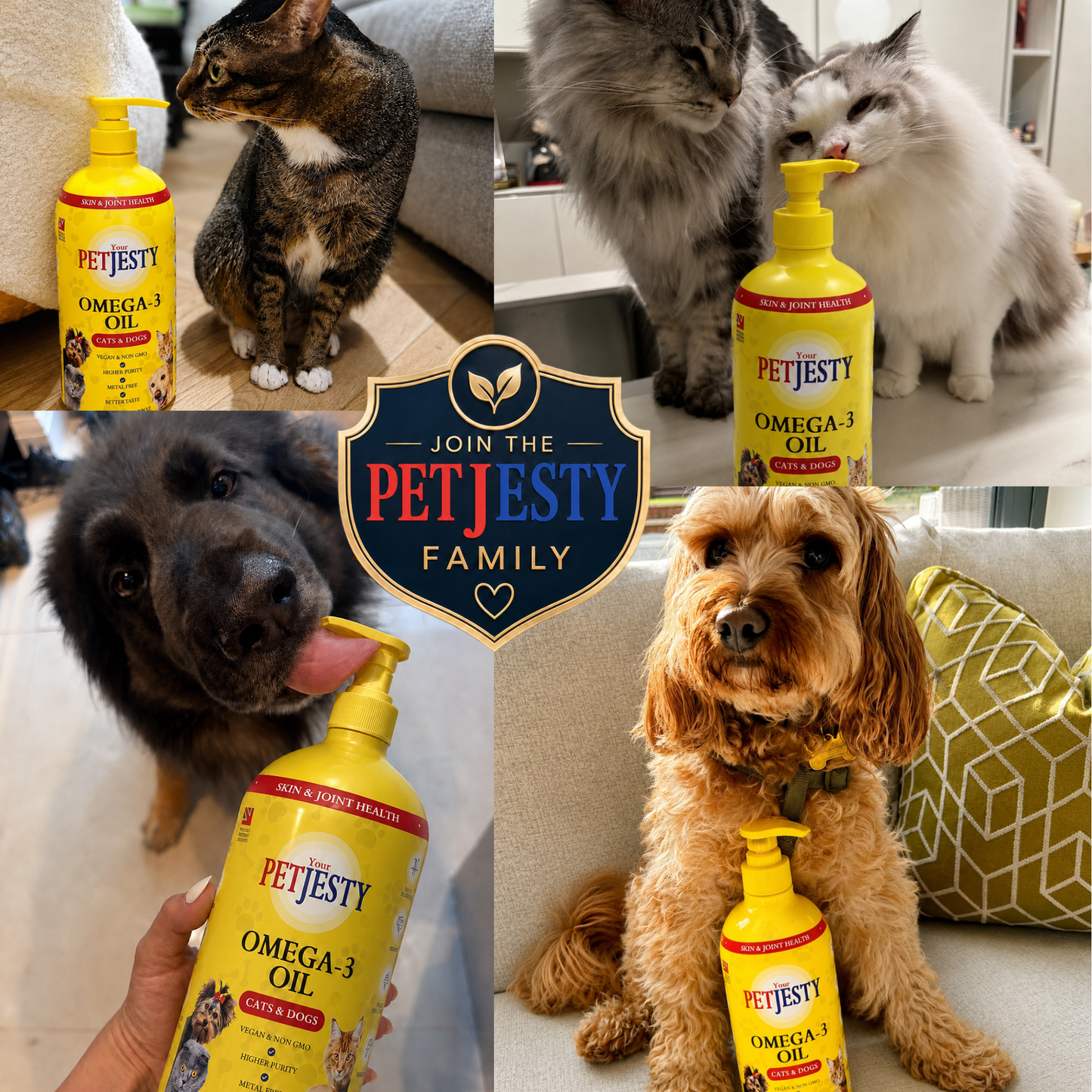 PetJesty Premium: Vegan Omega 3, 6 & 9 Algae Oil for Cats and Dogs